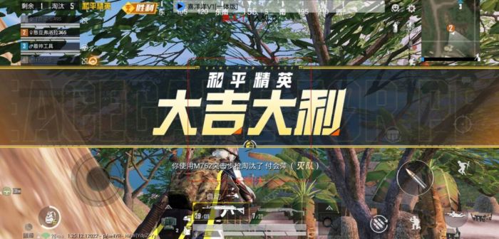 和平精英外挂鉴别员是怎么搞的（和平精英外挂是怎么操作的）